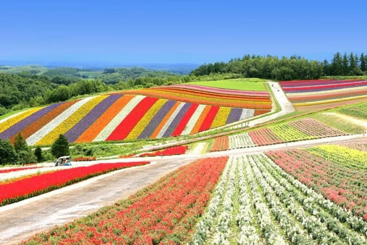 Hokkaido 7 - Inn Asahikawa Exterior photo